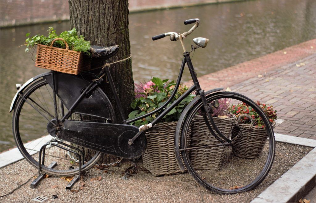 Fotografie Cursus Schiedam