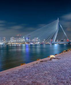 Nachtfotografie Rotterdam - Kop van Zuid - Erasmusbrug