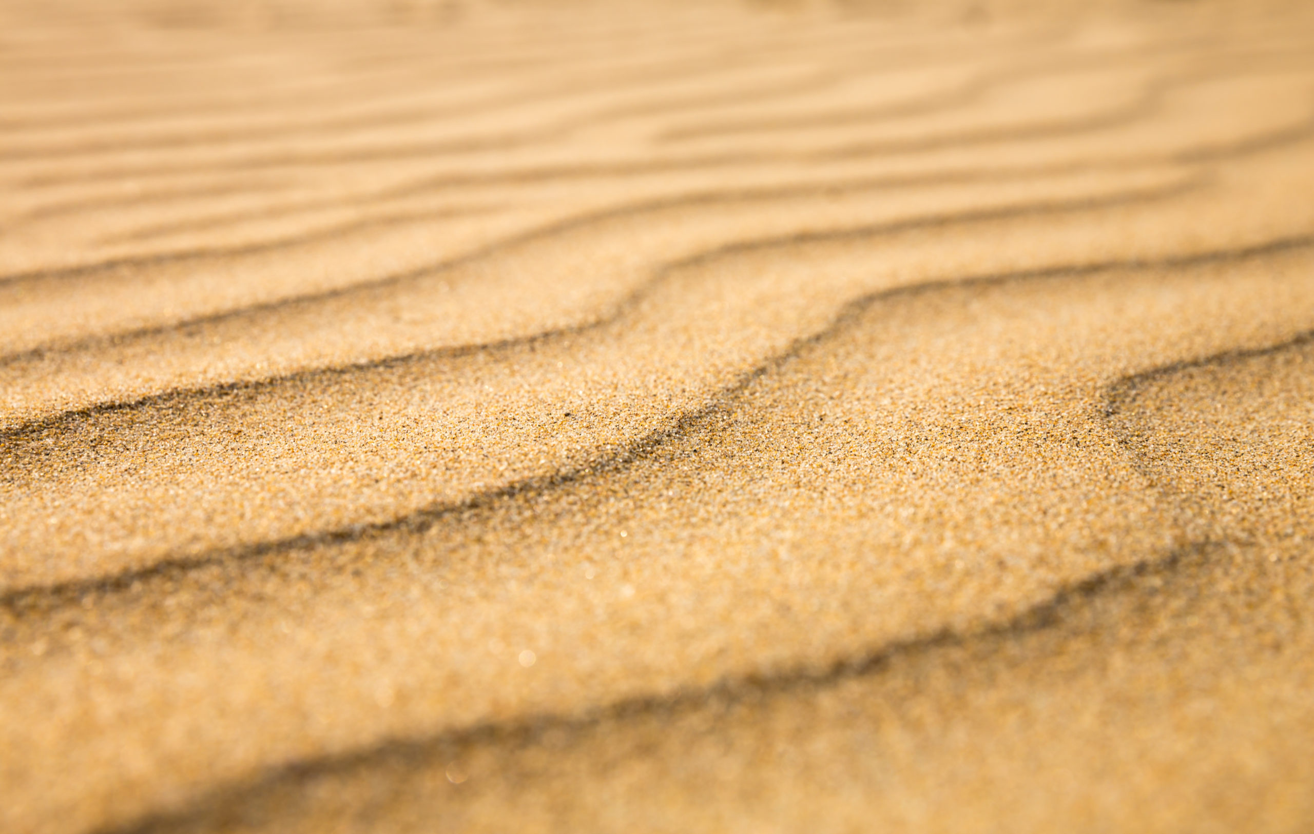 Fotografie Ploeg Benelux B.V. Fotograferen met strijklicht zand scaled