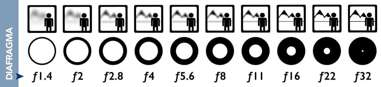 Wildlife fotograferen in Nederland - Diafragma