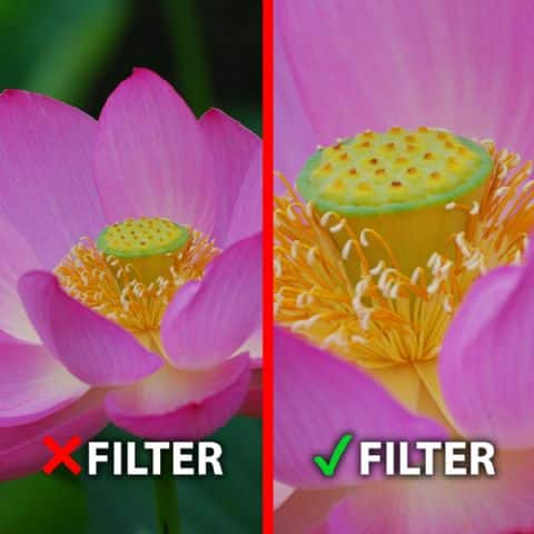 Filters om macrofoto's te maken