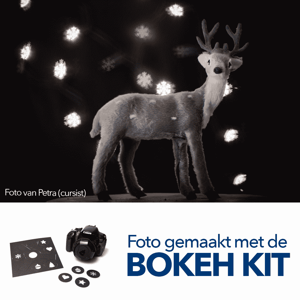 Fotografie Ploeg Benelux B.V. Promo Bokeh Kit Petra 2