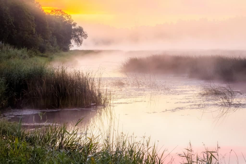 Fotografie Ploeg Benelux B.V. 10 Ideeën om te fotograferen in de herfst mist 1024x683 1