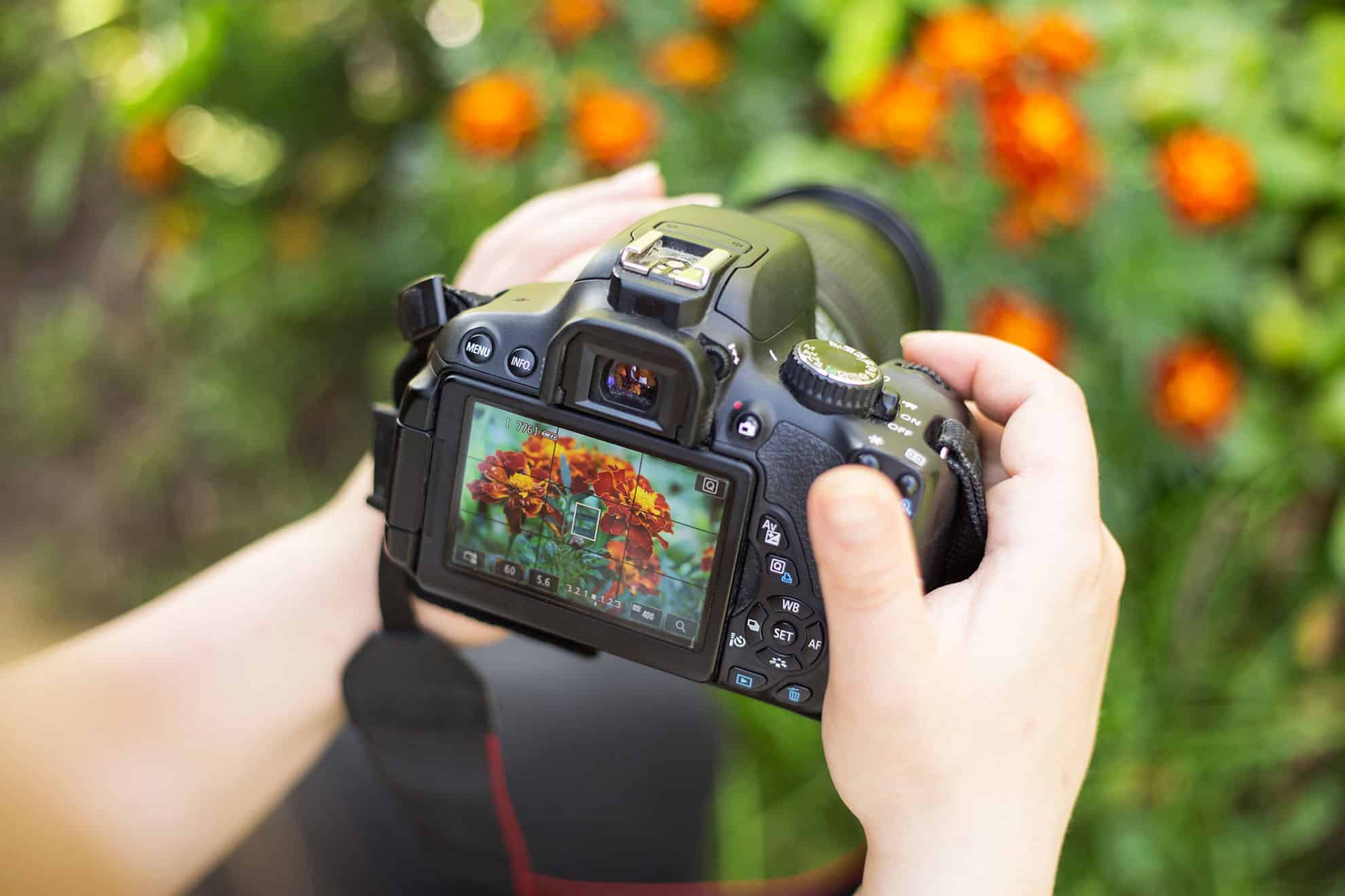 Workshop Leren Fotograferen Fotografie Cursussen En Workshop Workshop Leren Fotograferen Fotografie Cursussen En Workshop