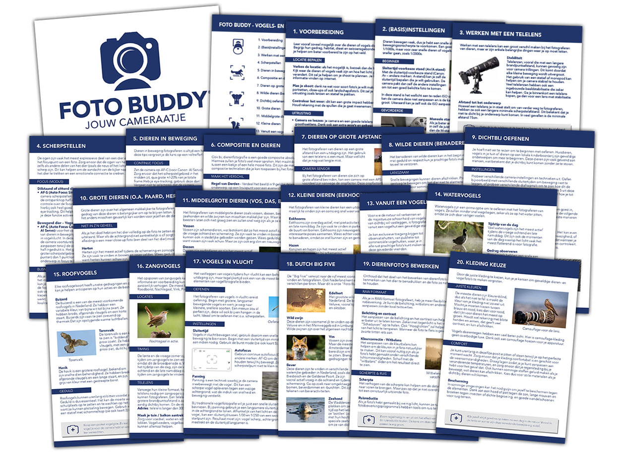 Foto Buddy - Vogel- en dierenfotografie