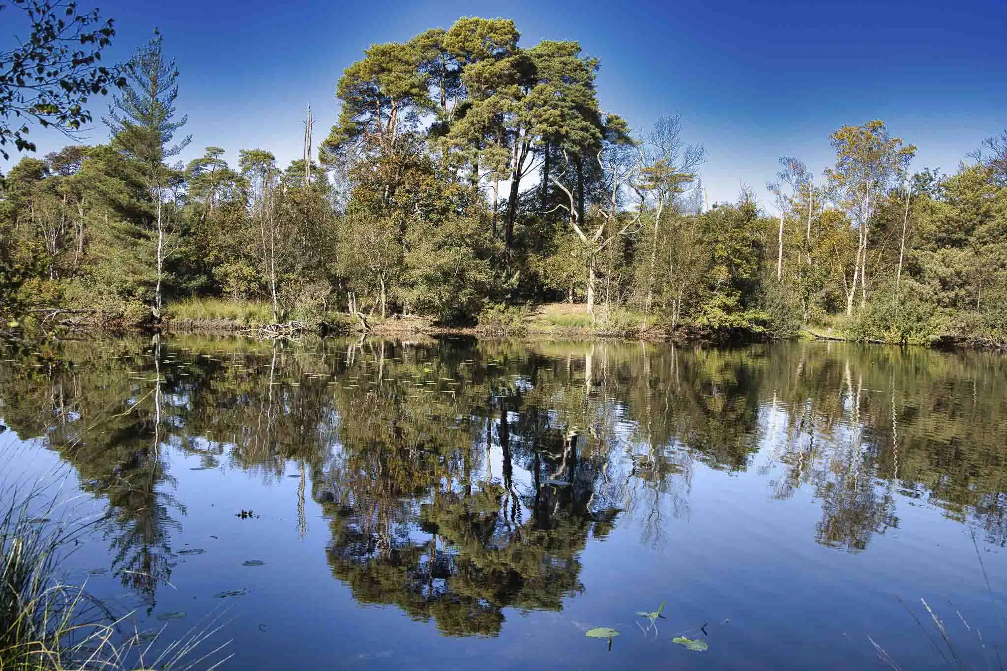 Fotografie Workshops 11 Fotografie Ploeg Benelux B.V. Thom Doomen