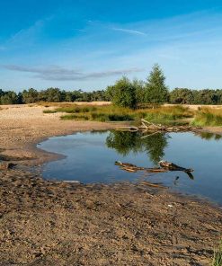 Fotografie Ploeg Benelux B.V. workshop landschapsfotografie loonse en drunense duinen