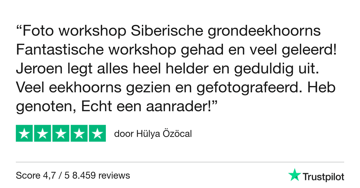 Fotografie Ploeg Benelux B.V. Trustpilot Review Hülya Özöcal