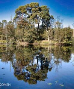 Workshop Landschapsfotografie - Oisterwijkse bossen en vennen - 31 augustus 2024