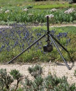 macrofotografie van insecten