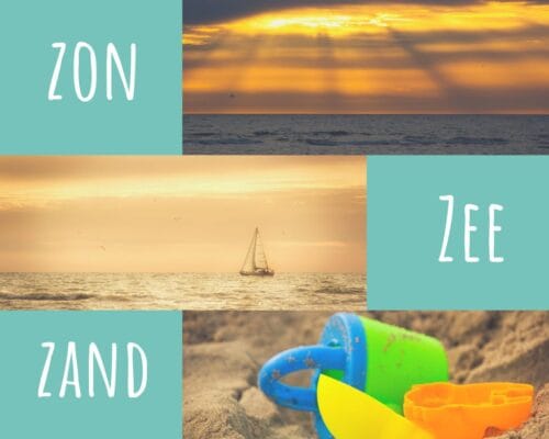 Fotografie Ploeg Benelux B.V. Angelique 116288745 2867598026680043 5044553680688372119 o 1024x819 1