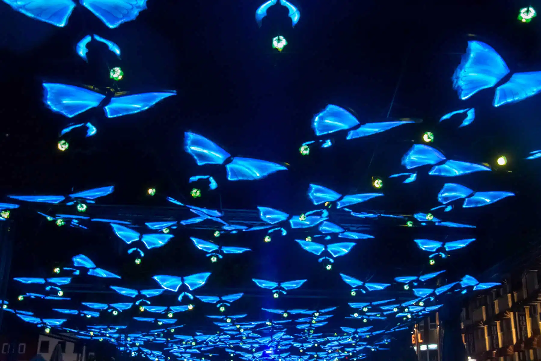 Fotografie Ploeg Benelux B.V. Ann Scevenels 1