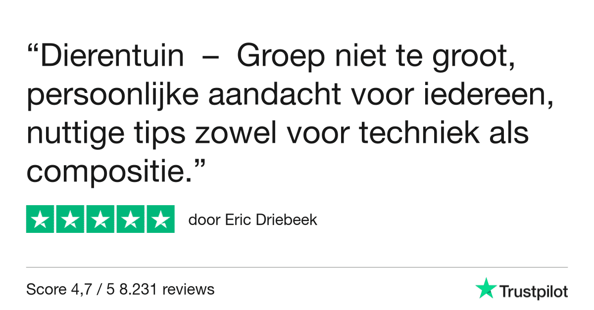 Auqa Zoo - Workshop Dierenfotografie