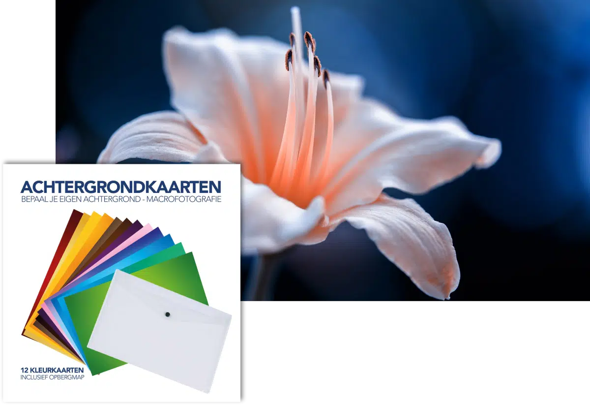 Fotografie Ploeg Benelux B.V. Background MacroBuddy