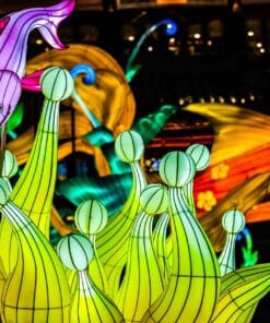 Workshop Fotografie Light Safari Beekse Bergen – Leer Avondfotografie in het Wild