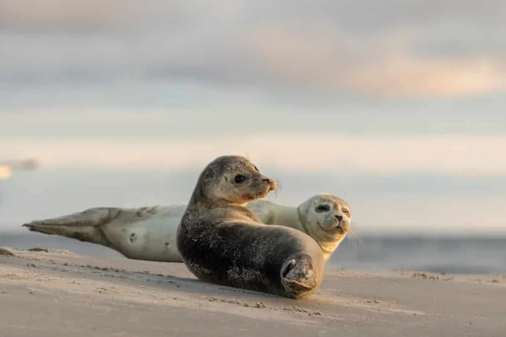De mooiste zomerse plaatjes: 20 tips bij het fotograferen met hard licht 22 Fotografie Ploeg Benelux B.V. Brouwersdam