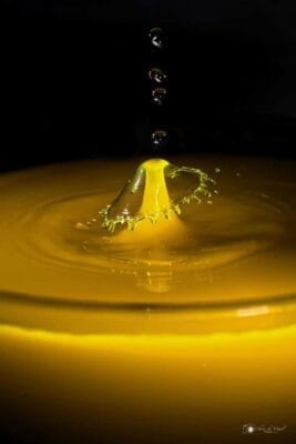 Fotografie Ploeg Benelux B.V. Chris de Vogel001 683x1024