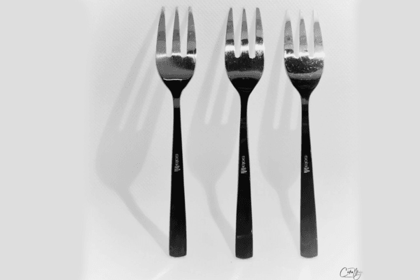 Fotografie Ploeg Benelux B.V. Ciska Licht