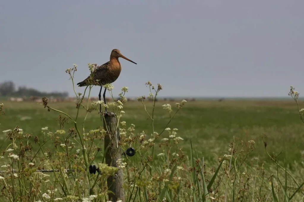 Hoe maak je de beste Landschapsfoto's? 19 landschapsfotografie