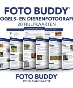 Foto Buddy Vogel- en Dierenfotografie