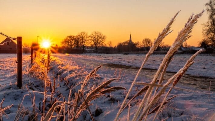 Fotografie Ploeg Benelux B.V. Geert Van der Auwermeulen002 1024x576