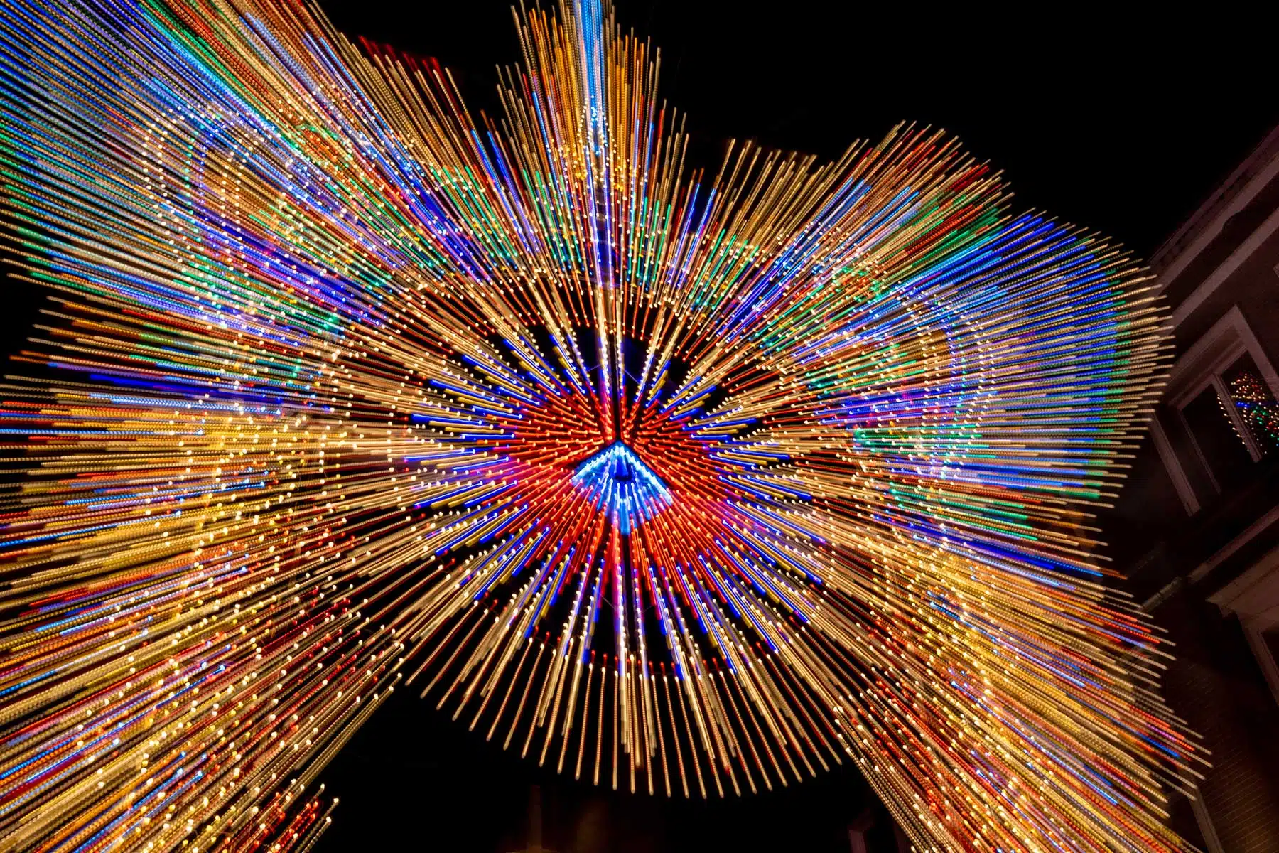 Fotografie Ploeg Benelux B.V. Greet De Clerck 1