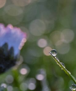 Foto Buddy 1 + Verzamelalbum 26 Fotografie Ploeg Benelux B.V. Jolanda Van Der Molen Van Der Ploeg004 1 1