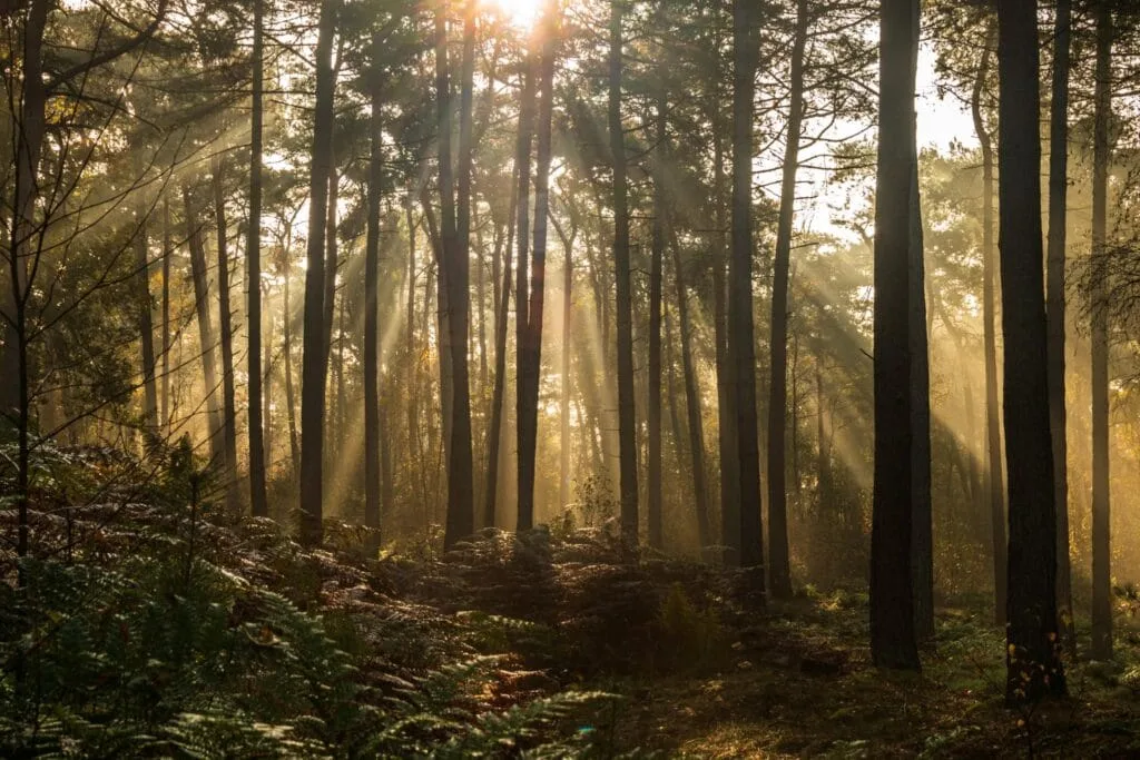 Hoe maak je de beste Landschapsfoto's? 5 landschapsfotografie