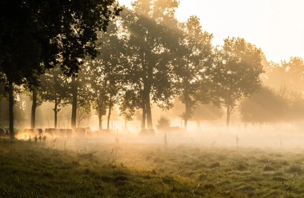 Hoe herken je mooie locaties voor landschapsfoto's? 8 landschapsfotografie - locaties herkennen