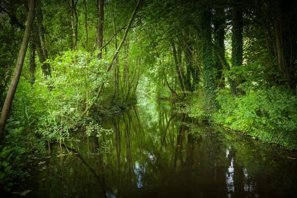 De mooiste zomerse plaatjes: 20 tips bij het fotograferen met hard licht 25 Fotografie Ploeg Benelux B.V. Kralingse Bos