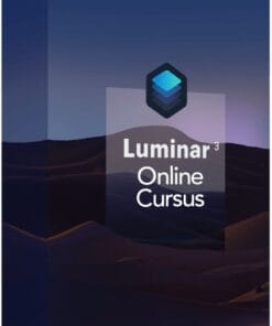 Luminar-Online-Cursus