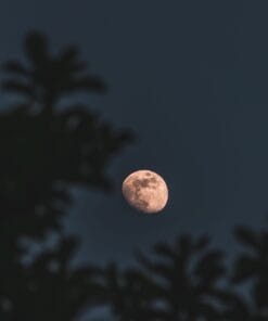 Fotografie Ploeg Benelux B.V. Maan fotograferen omgeving 3 scaled 1