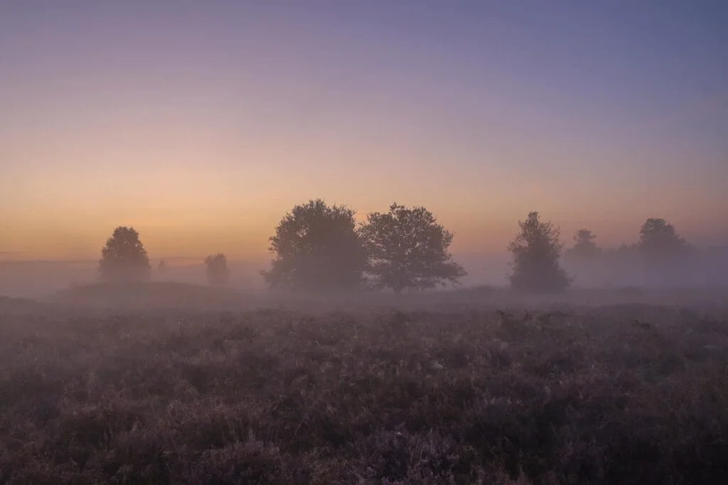 Hoe herken je mooie locaties voor landschapsfoto's? 1 landschapsfotografie - locaties herkennen