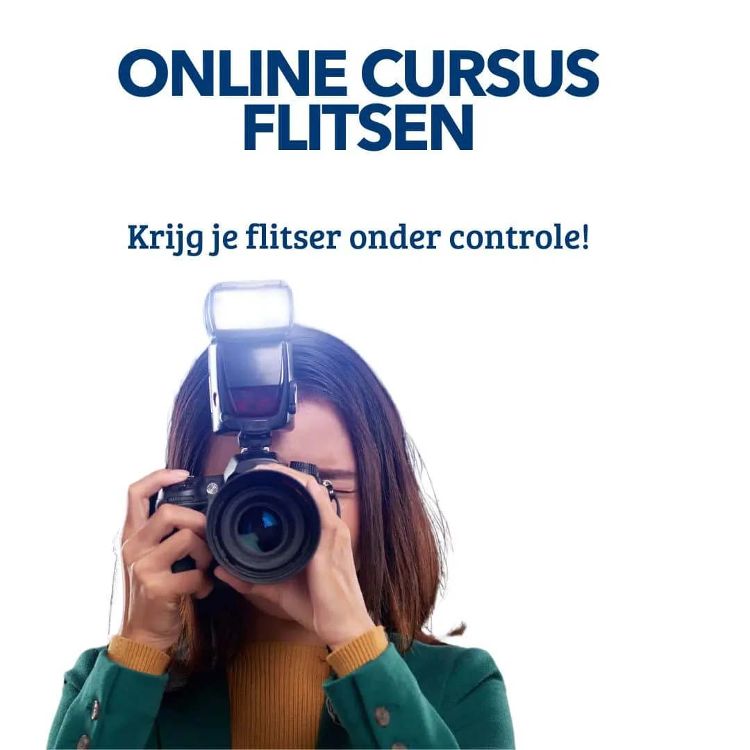 Flitscursus Online