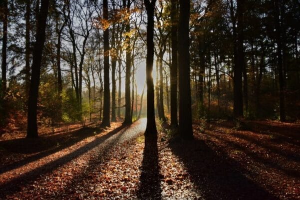Fotografie Ploeg Benelux B.V. Petra Hoornenborg001 1024x682