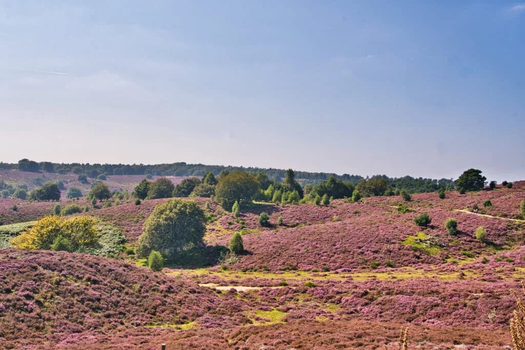 Hoe herken je mooie locaties voor landschapsfoto's? 10 landschapsfotografie - locaties herkennen