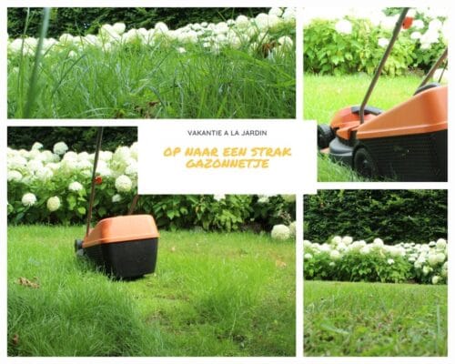 Fotografie Ploeg Benelux B.V. Wendy 116884966 3107243452724941 7432641673662790127 o 1024x819 1