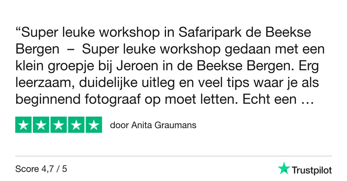 Workshop Dierenfotografie - Beekse Bergen 13 Fotografie Ploeg Benelux B.V. Workshop Beekse Bergen Trustpilot Review Anita Graumans