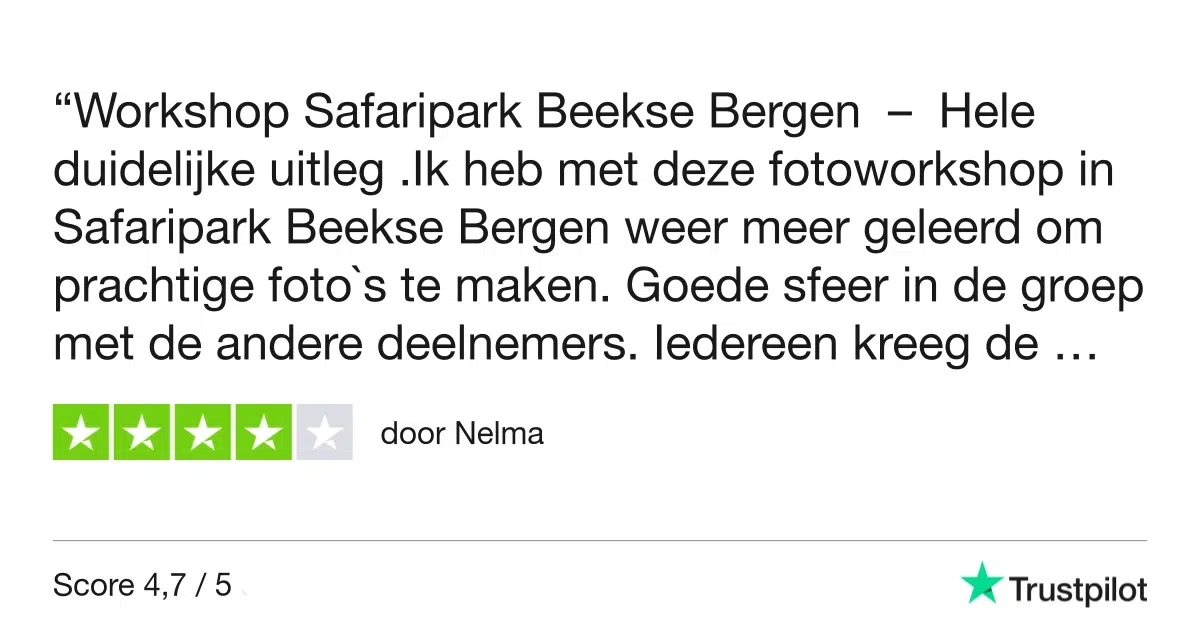 Workshop Dierenfotografie - Beekse Bergen 18 Fotografie Ploeg Benelux B.V. Workshop Beekse Bergen Trustpilot Review Nelma