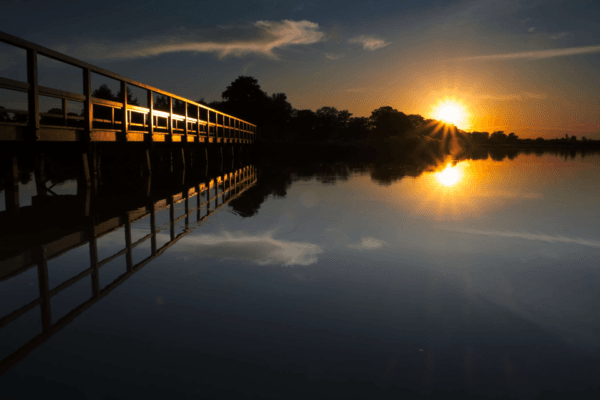 Fotografie Ploeg Benelux B.V. Yvonne zon