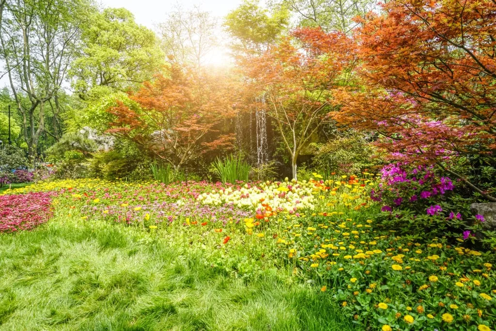 De beste tips en leukste ideeën om de lente op zijn mooist vast te leggen 3 Fotografie Ploeg Benelux B.V. beautiful green park