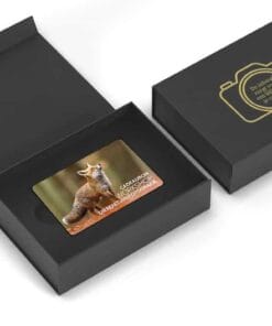 Fotografie Ploeg Benelux B.V. box dierenfotografie cadeaubon workshop fotografie 7 e1700216446251