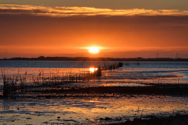 Fotografie Ploeg Benelux B.V. corinne zon