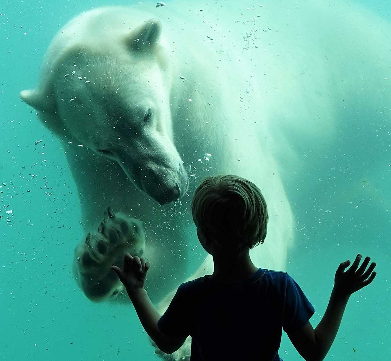 Workshop Dierenfotografie - Blijdorp