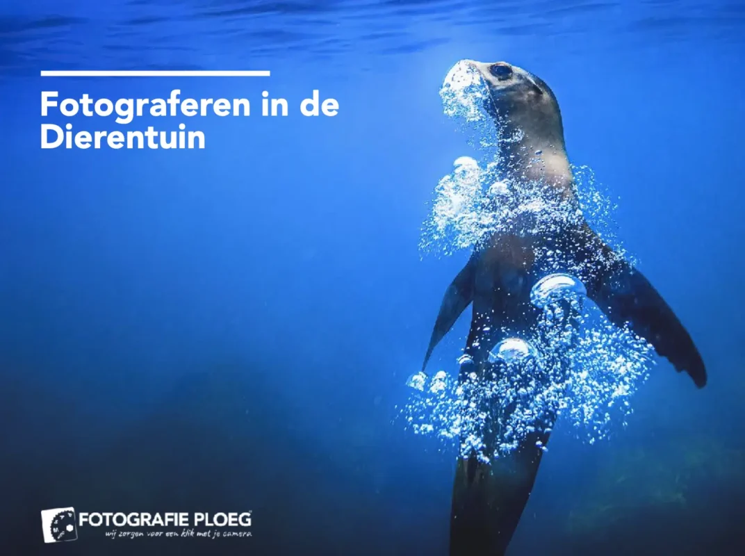 Fotografie Ploeg Benelux B.V. e book fotograferen in de dierentuin