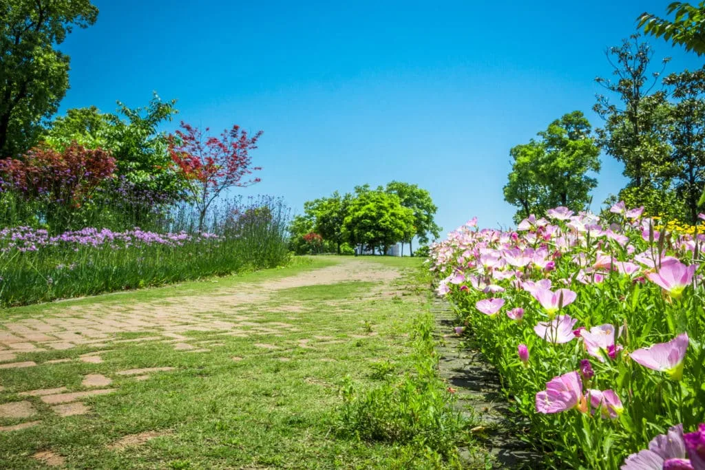 De mooiste zomerse plaatjes: 20 tips bij het fotograferen met hard licht 16 Fotografie Ploeg Benelux B.V. flower park