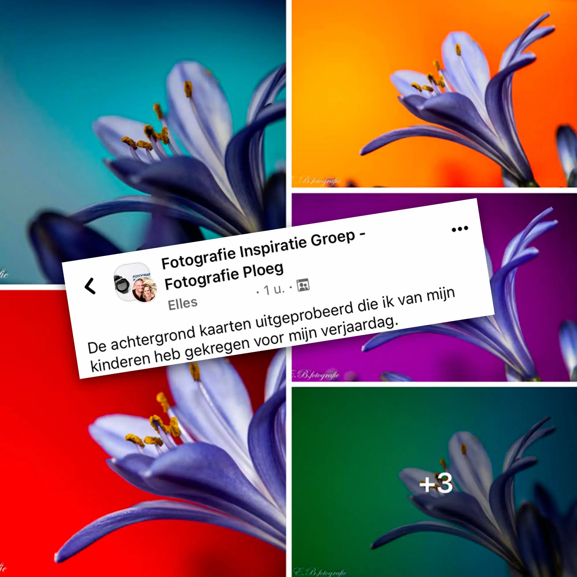 Macrofotografie - Achtergrondkaarten