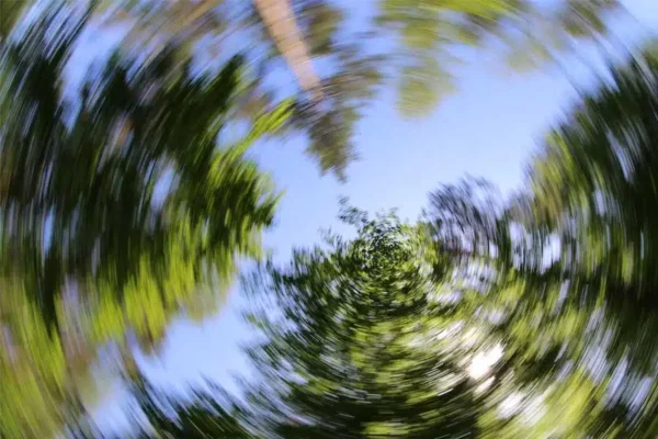 Foto Buddy Sluitertijd 18 Fotografie Ploeg Benelux B.V. foto buddy sluitertijd voorbeeld 3 1