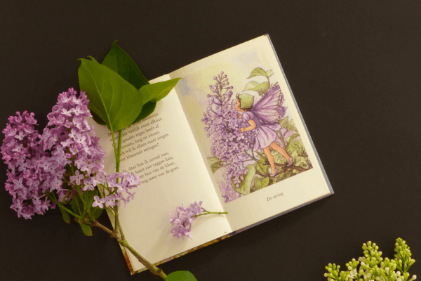 Fotografie Ploeg Benelux B.V. fotograferen flatlay fotografie challenge corina