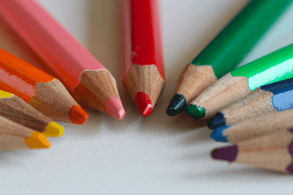 Fotografie Ploeg Benelux B.V. fotograferen macro fotografie challenge esther